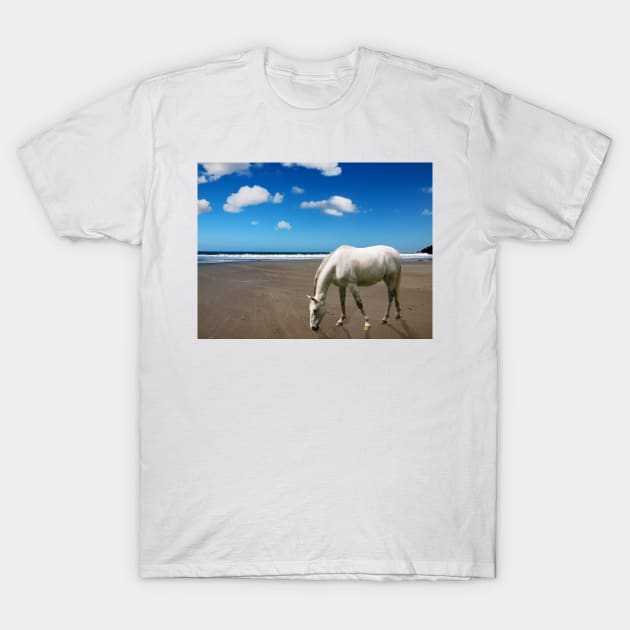 Horse on the Beach T-Shirt by Ludwig Wagner